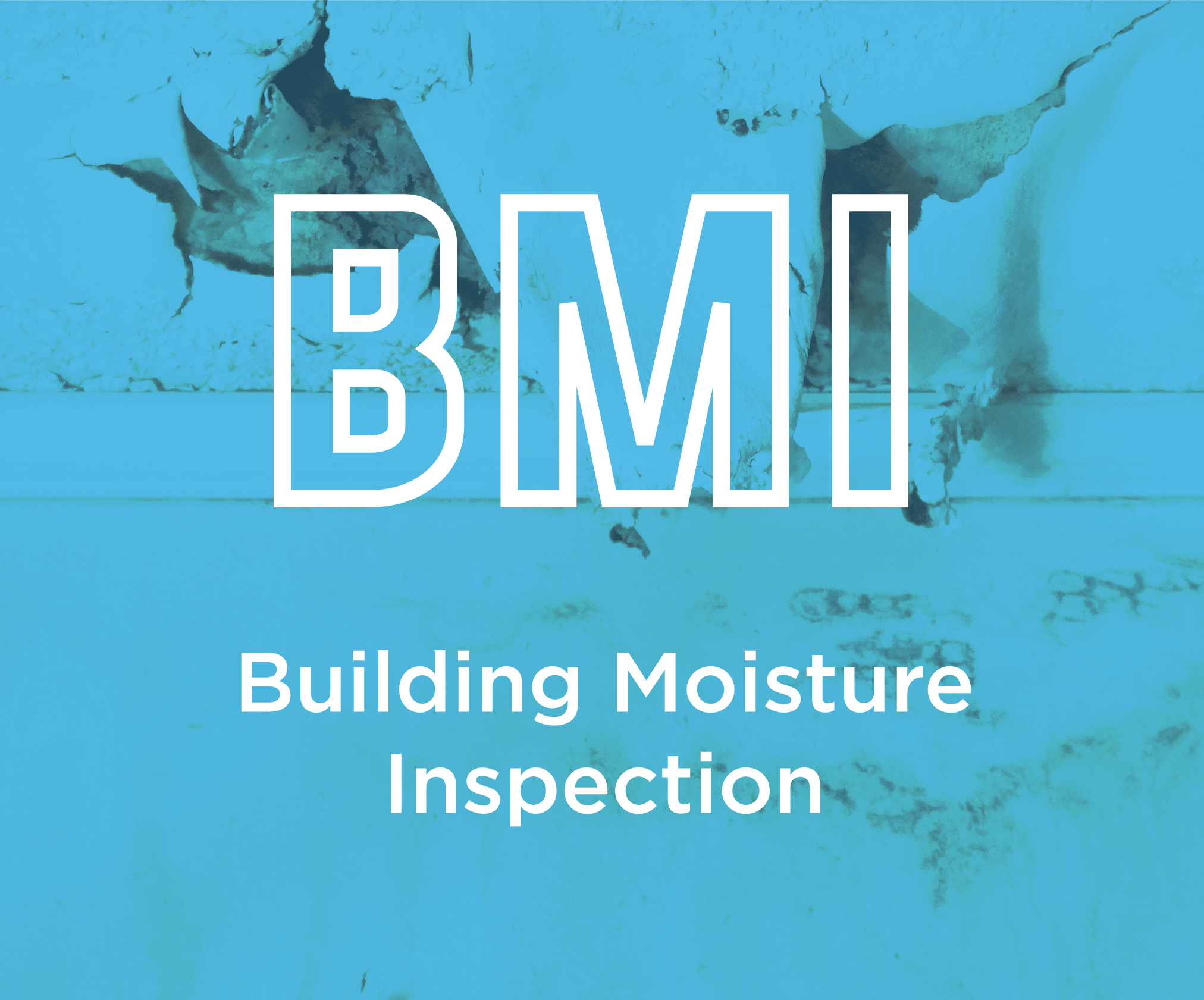 Building Moisture Inspection BMI